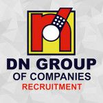 DN Steel Group of Companies