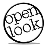 Open Look Business Solutions