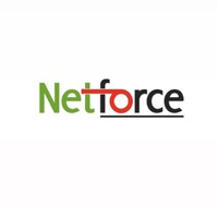 Netforce International Inc.